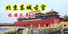 裸睡美女操穴中国北京-东城古宫旅游风景区